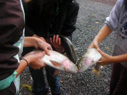 Girls Scouts Trout Fishing in Helvetia
